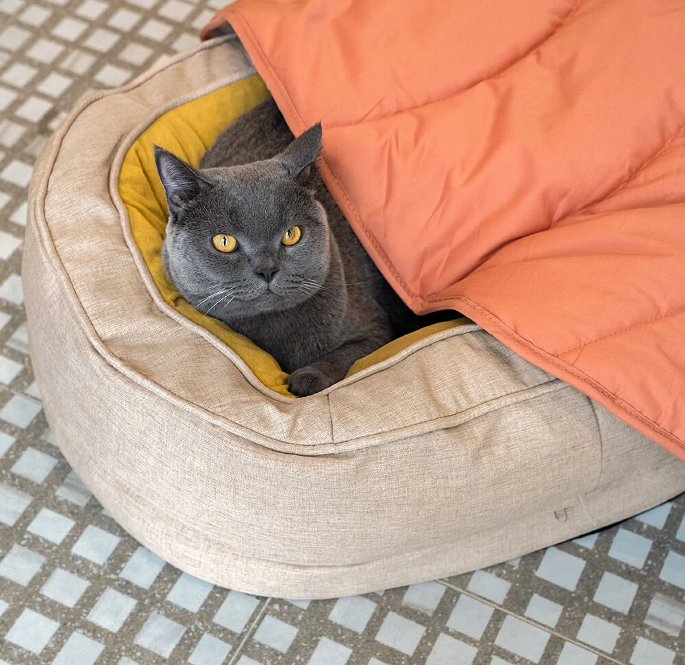 Leaf Shape Dog Blanket - Image 20