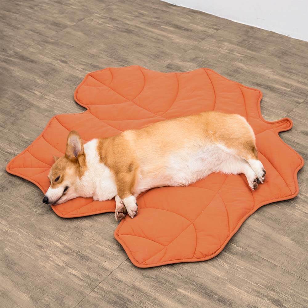 Leaf Shape Dog Blanket - Image 6