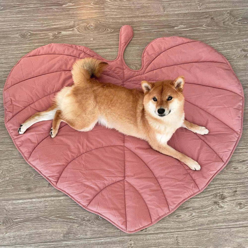 Leaf Shape Dog Blanket - Image 7