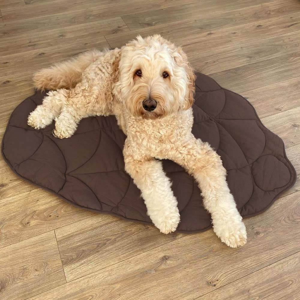 Leaf Shape Dog Blanket - Image 8