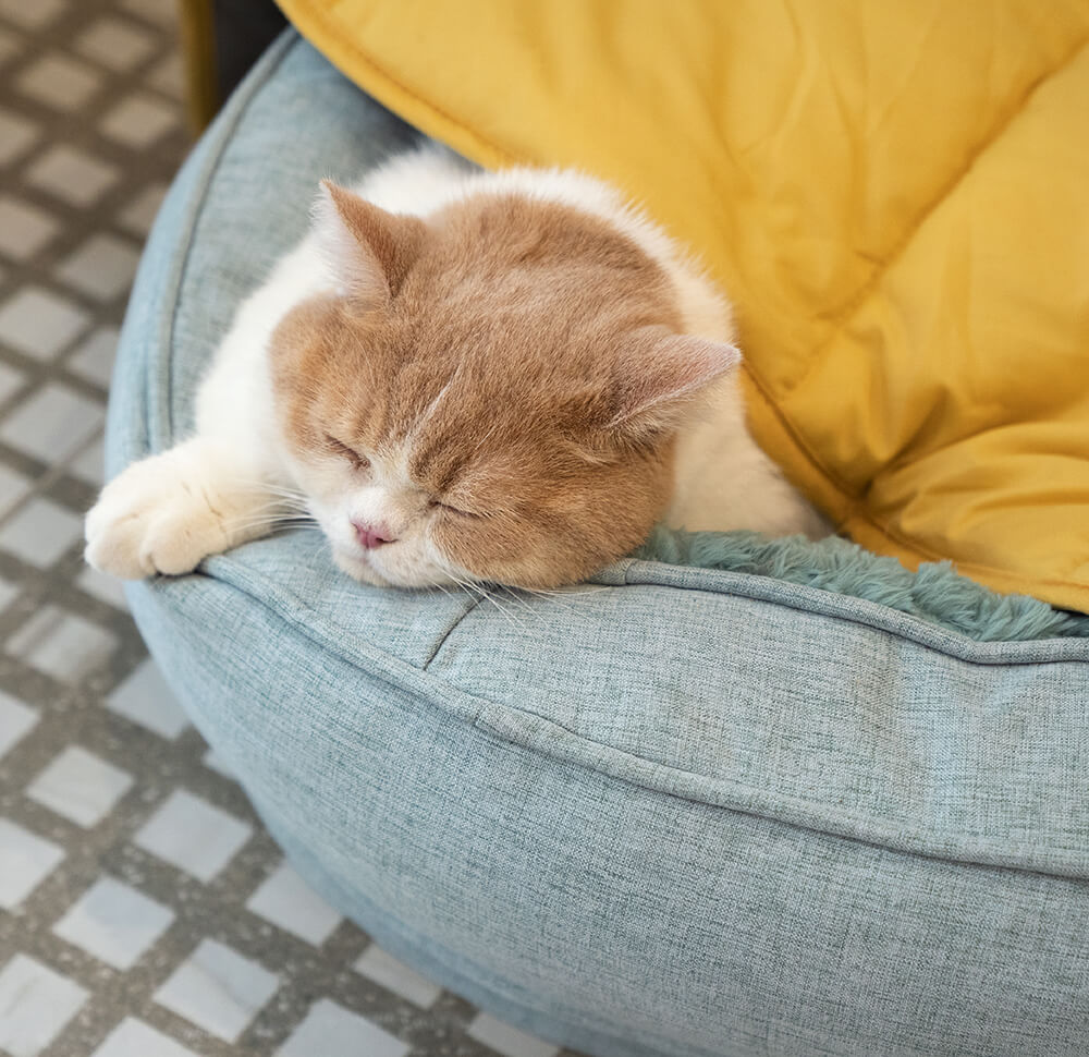 Leaf Shape Dog Blanket With Donut Dog Bed Luxury Dog Gifts - Image 10