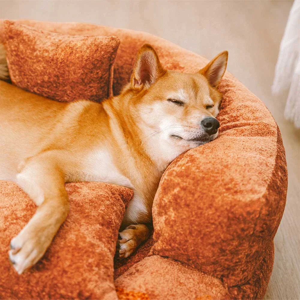 Luxe Diamond Velvet Removable Orthopedic Donut Dog Bed With Pillow - DreamNest - Image 12