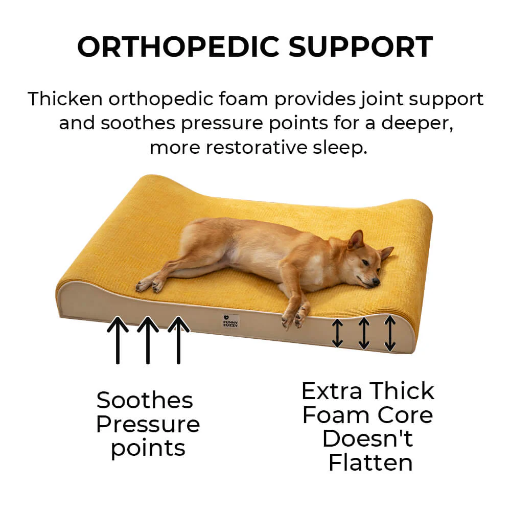 Luxurious Nobility Dog Lounge Chair Orthopaedic Dog Bed - Image 5