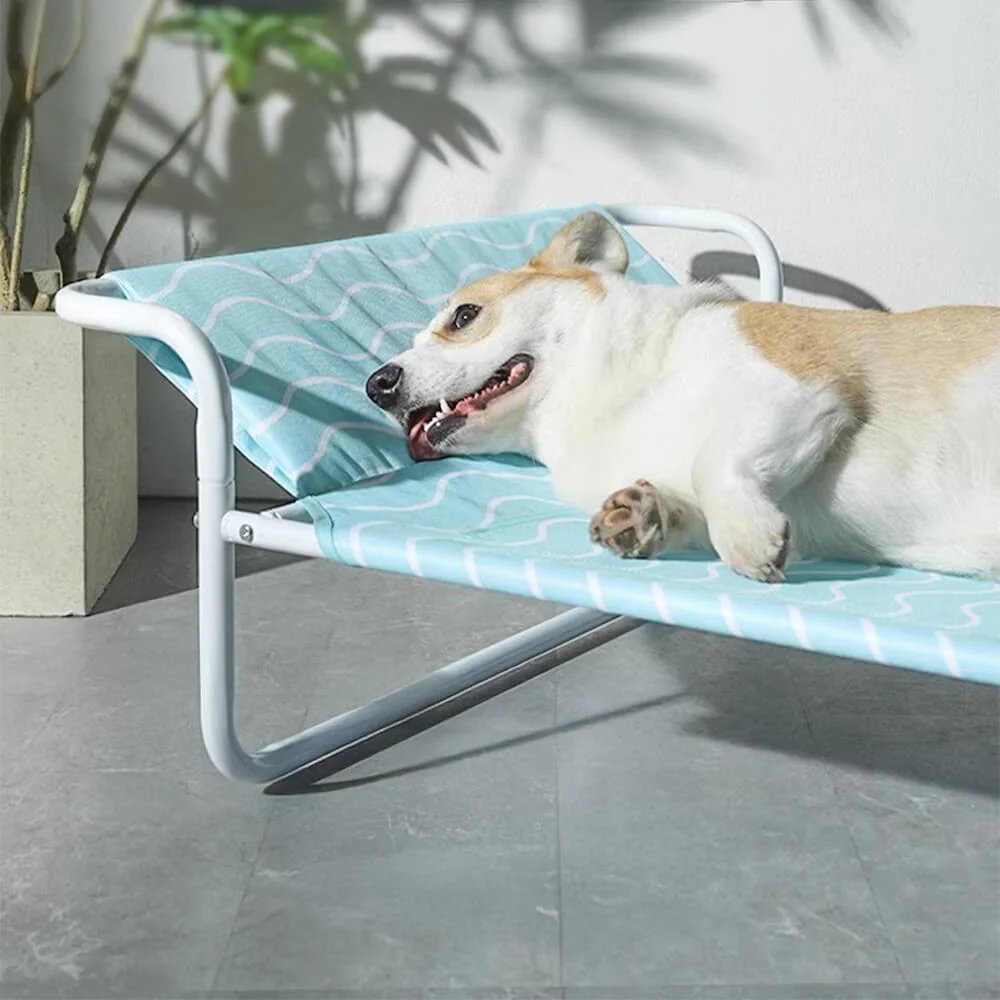 Moisture-Proof Oxford Cloth Elevated Dog Bed - Image 4