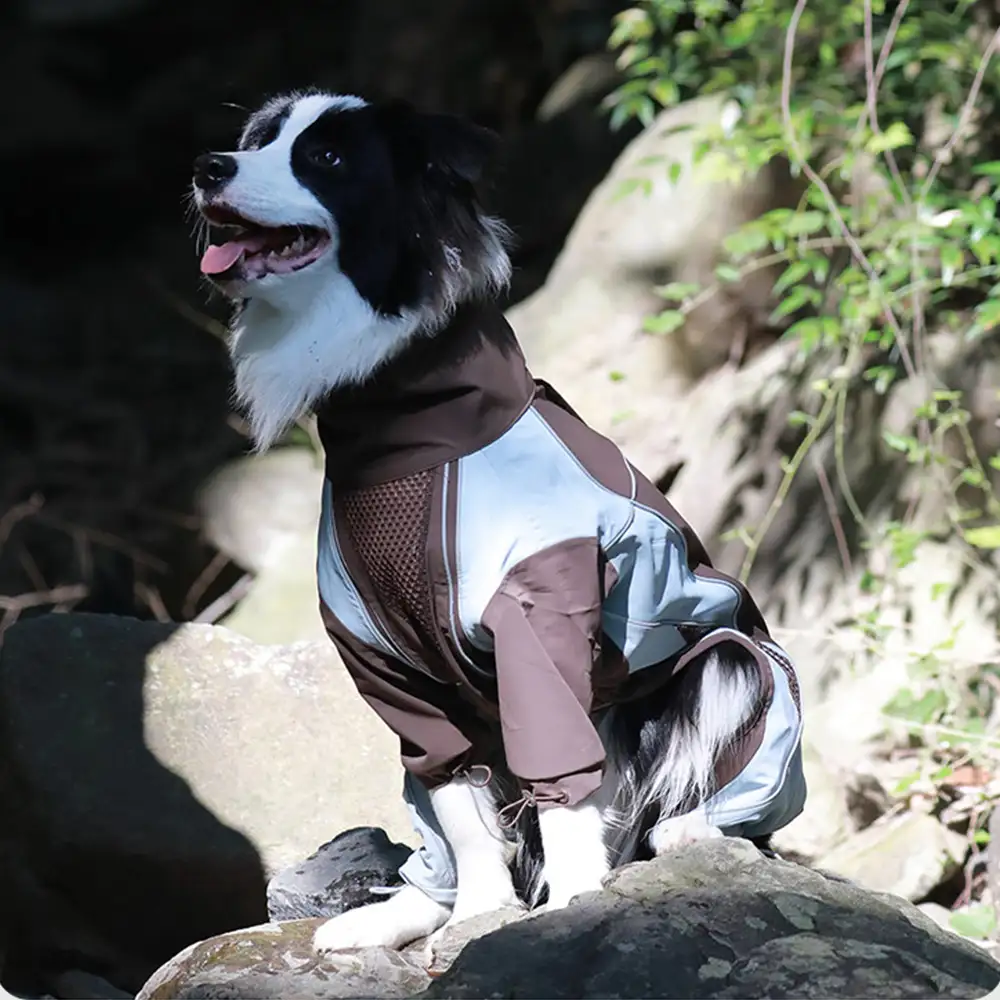 Multi-Functional Waterproof Windproof Dog Windbreaker Coat for Medium & Large Dogs - Image 6