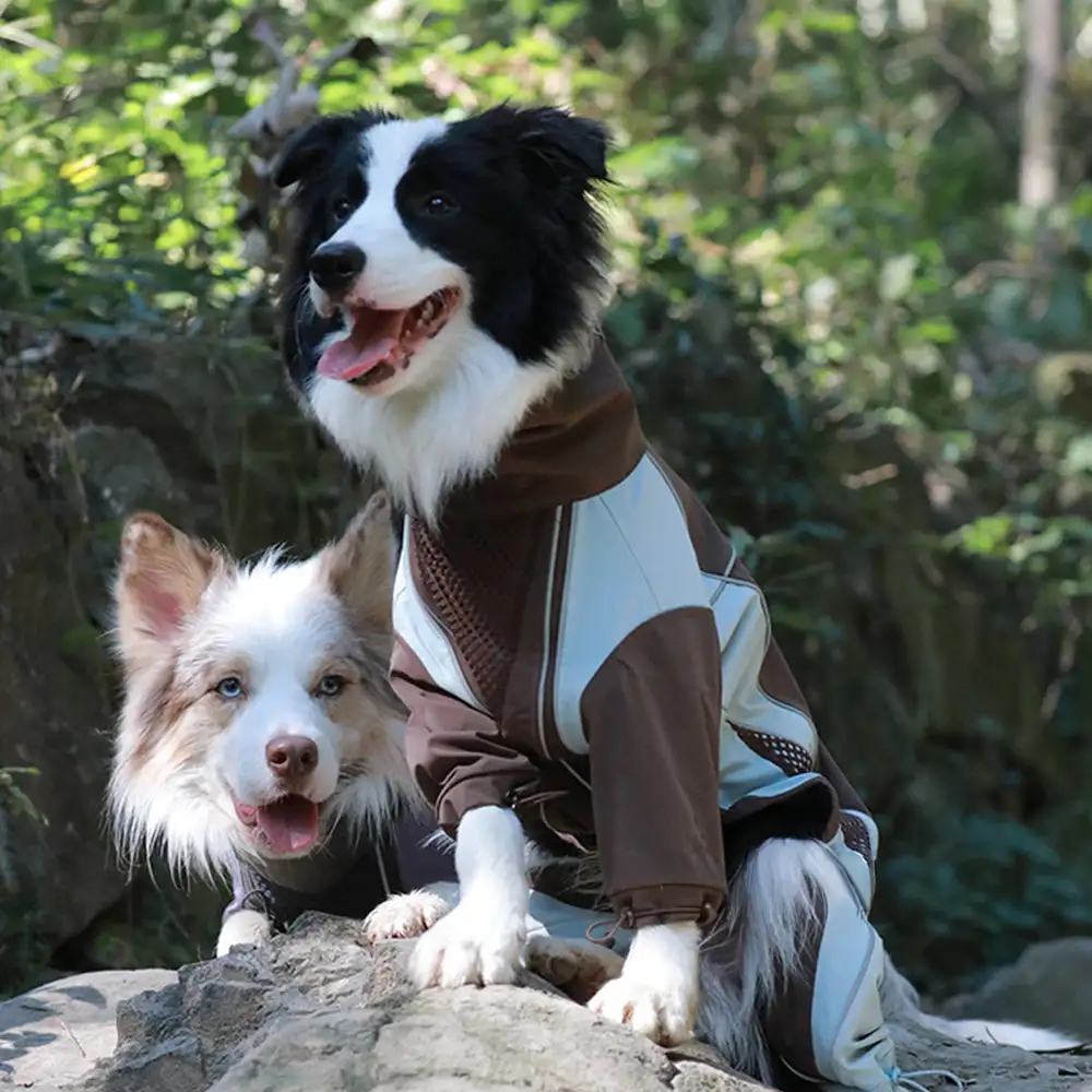 Multi-Functional Waterproof Windproof Dog Windbreaker Coat for Medium & Large Dogs - Image 7
