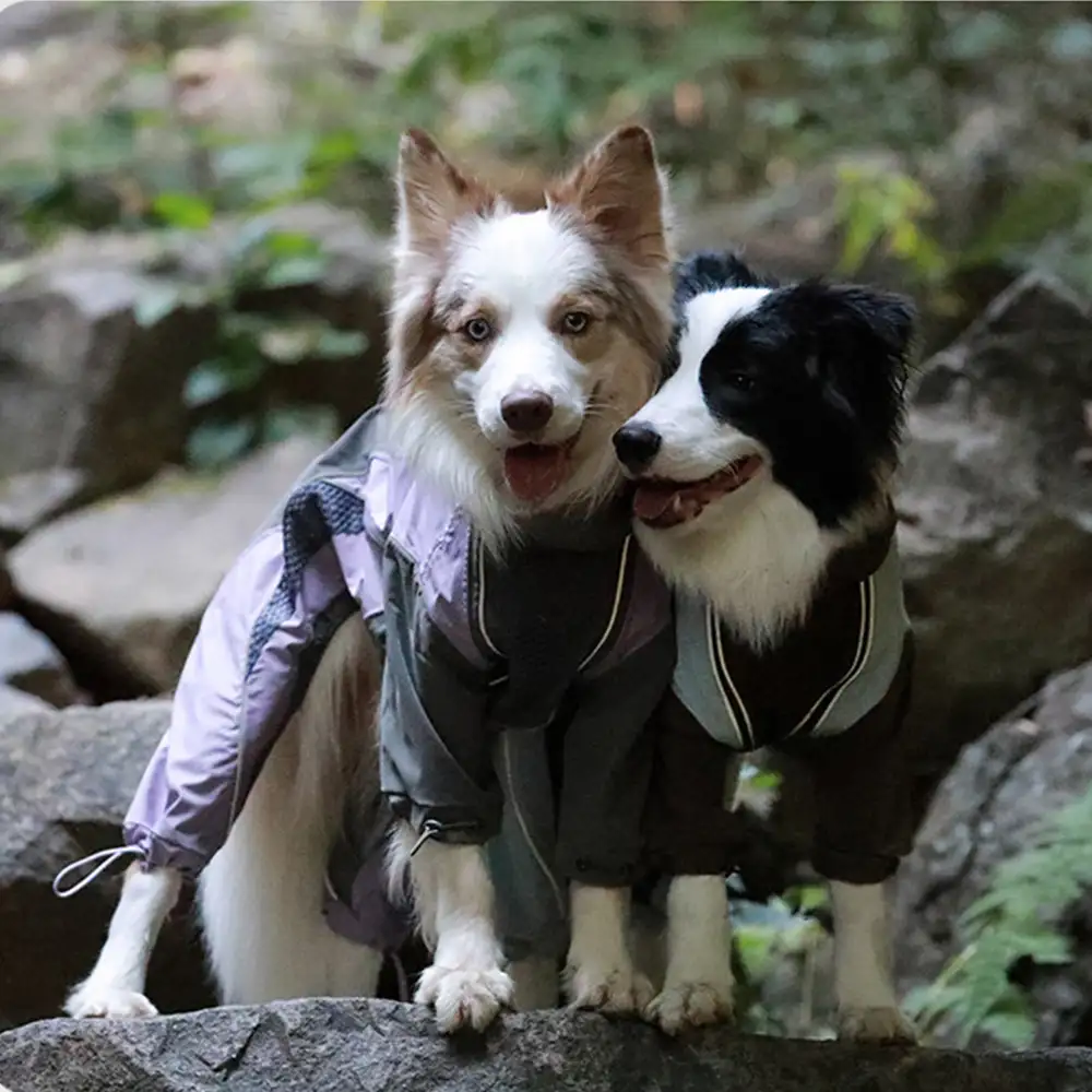 Multi-Functional Waterproof Windproof Dog Windbreaker Coat for Medium & Large Dogs - Image 8