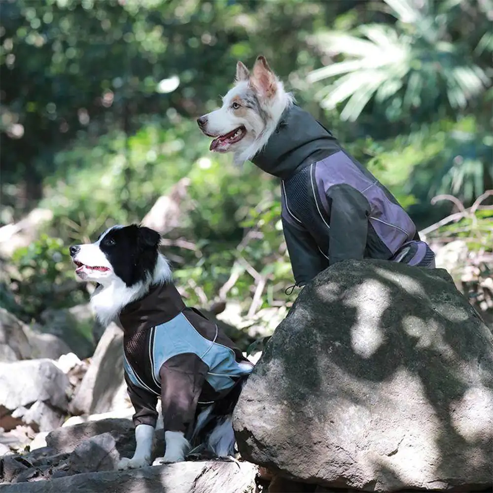 Multi-Functional Waterproof Windproof Dog Windbreaker Coat for Medium & Large Dogs - Image 9
