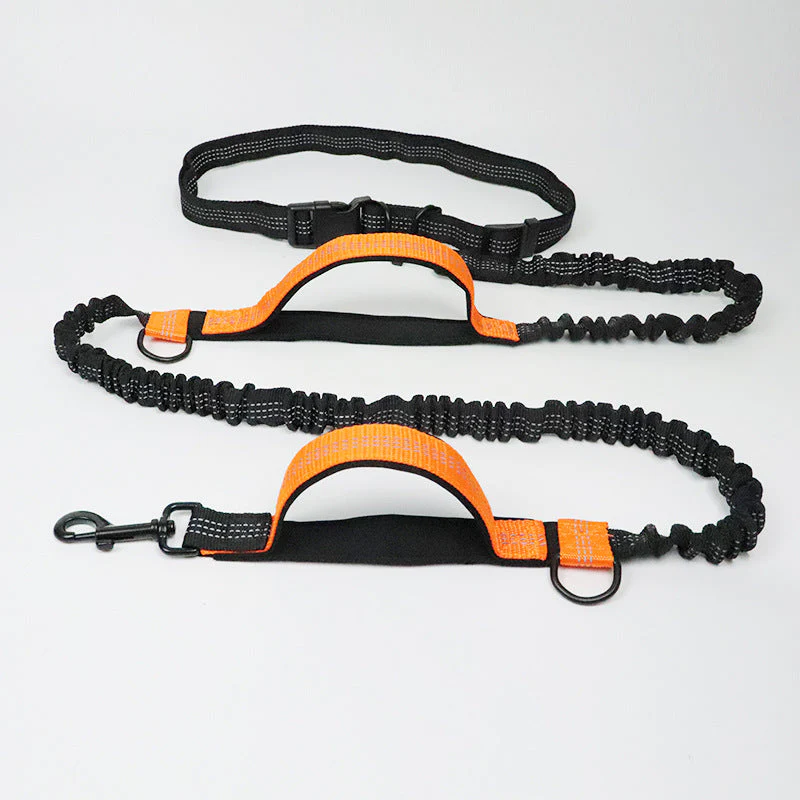 Multifunction Hands Free Dog Lead With Safety Seat Belt - Image 10