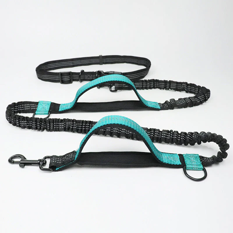 Multifunction Hands Free Dog Lead With Safety Seat Belt - Image 11