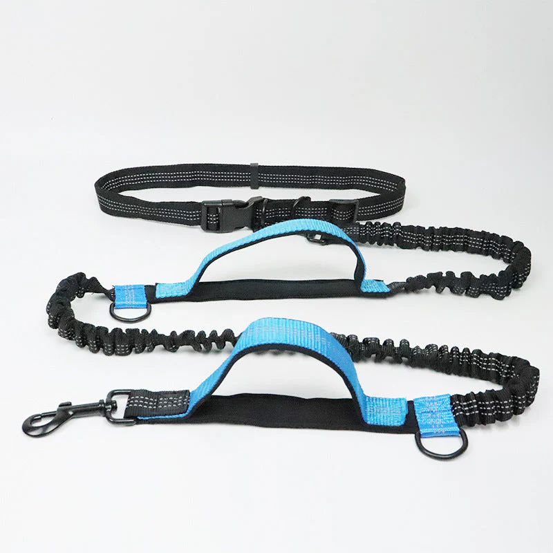 Multifunction Hands Free Dog Lead With Safety Seat Belt - Image 12
