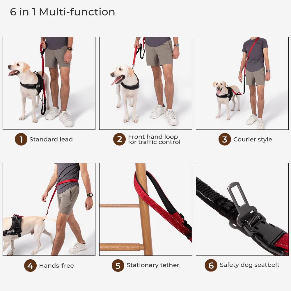 Multifunction Hands Free Dog Lead With Safety Seat Belt - Image 2