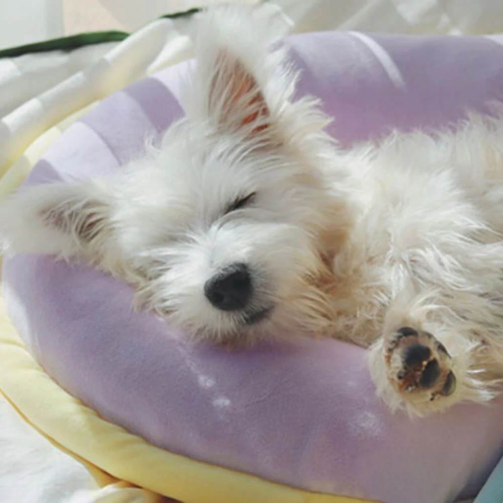 Orthopaedic Spine-Support Pillow Dog Sleep Pillow - Image 4