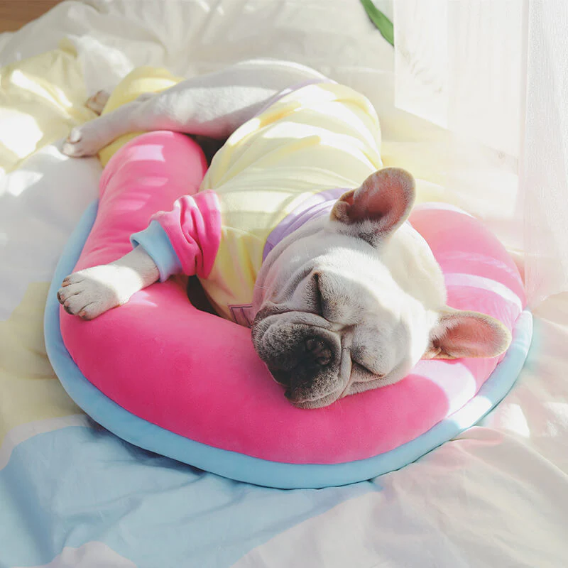 Orthopaedic Spine-Support Pillow Dog Sleep Pillow - Image 9