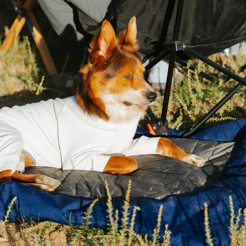 Outdoor Campsite Moisture-Proof And Waterproof Portable Dog Bed - Image 4