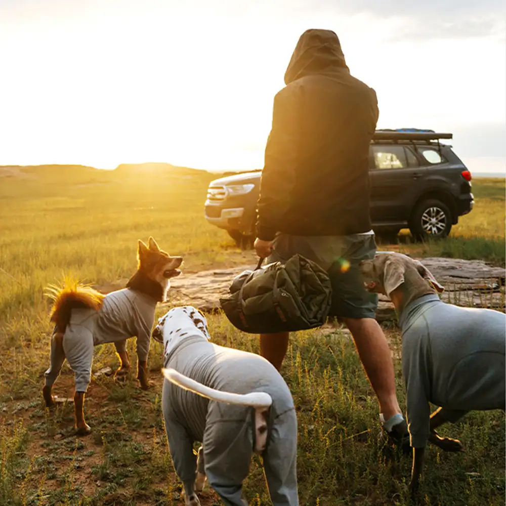 Outdoor Campsite Moisture-Proof And Waterproof Portable Dog Bed - Image 7