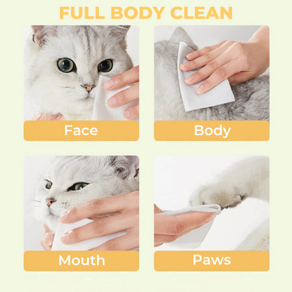 Pet Wipes - Image 3