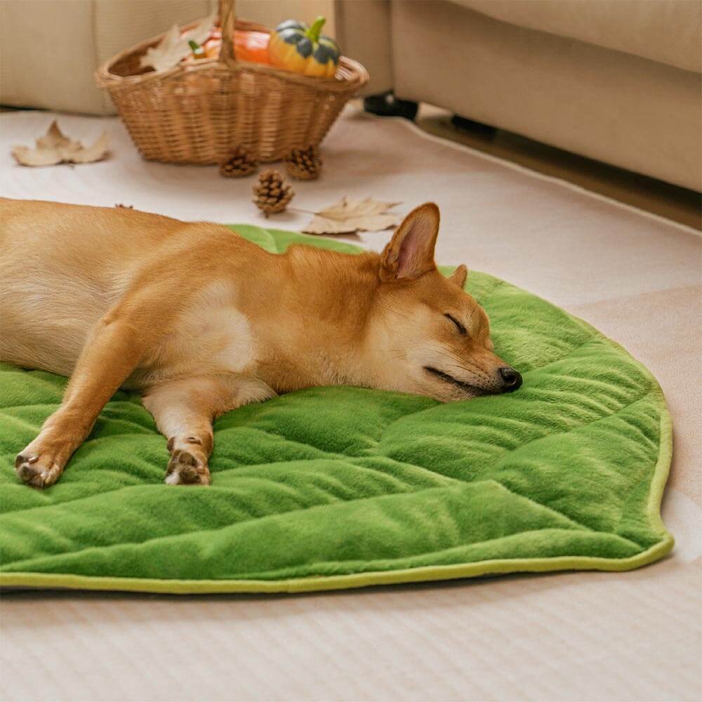 Plush Leaf-Shaped Washable Dog Mat-The Leaf Collector - Image 10