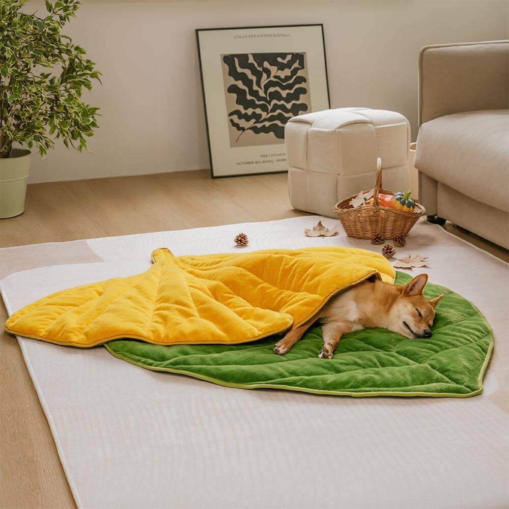 Plush Leaf-Shaped Washable Dog Mat-The Leaf Collector - Image 11