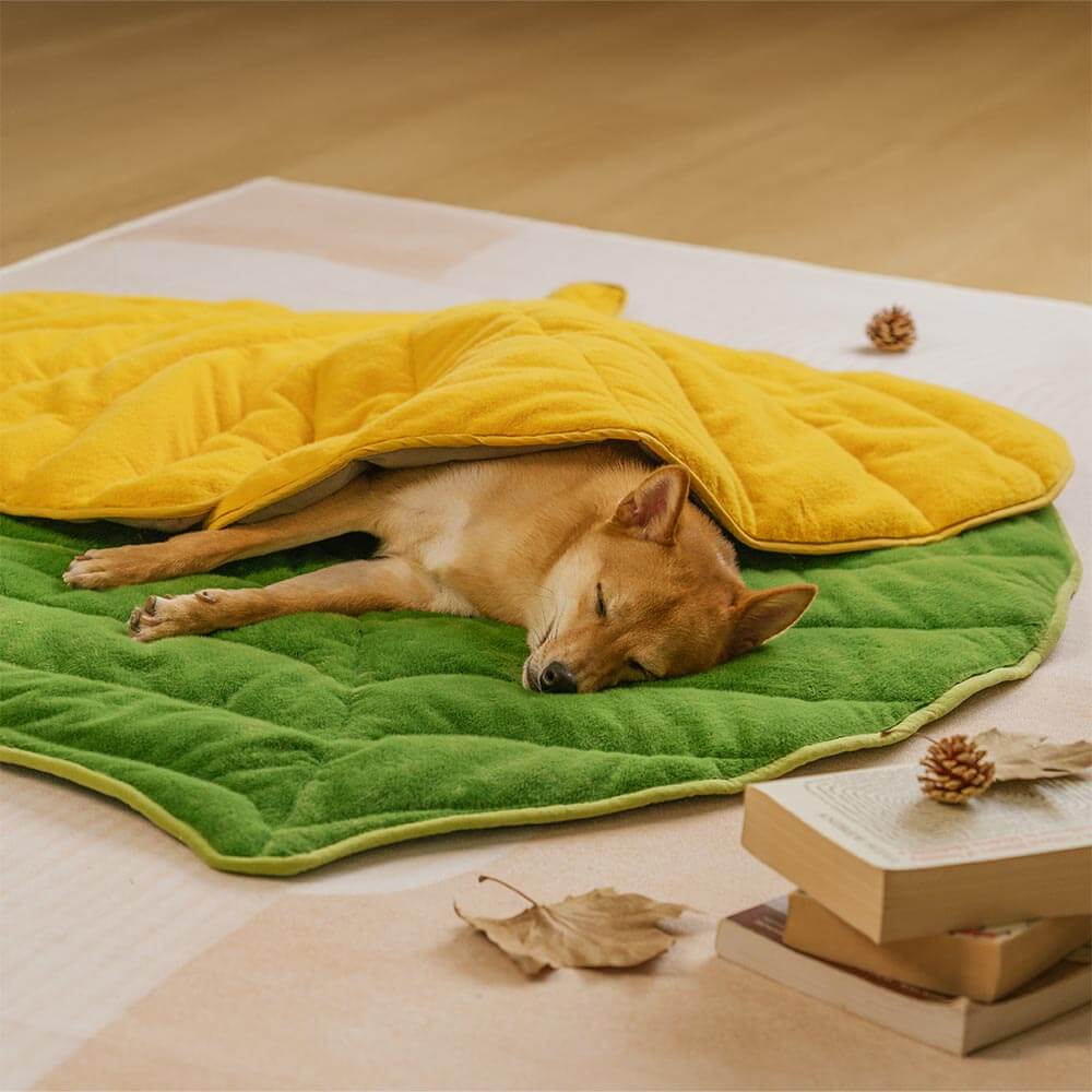 Plush Leaf-Shaped Washable Dog Mat-The Leaf Collector - Image 3