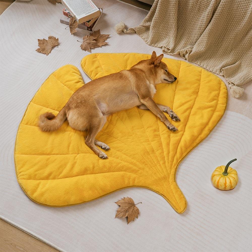 Plush Leaf-Shaped Washable Dog Mat-The Leaf Collector - Image 6