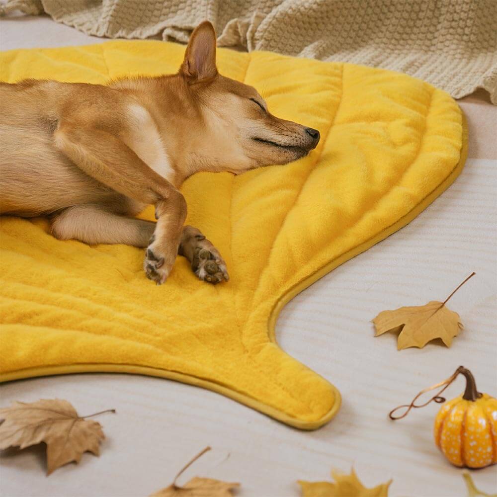 Plush Leaf-Shaped Washable Dog Mat-The Leaf Collector - Image 7