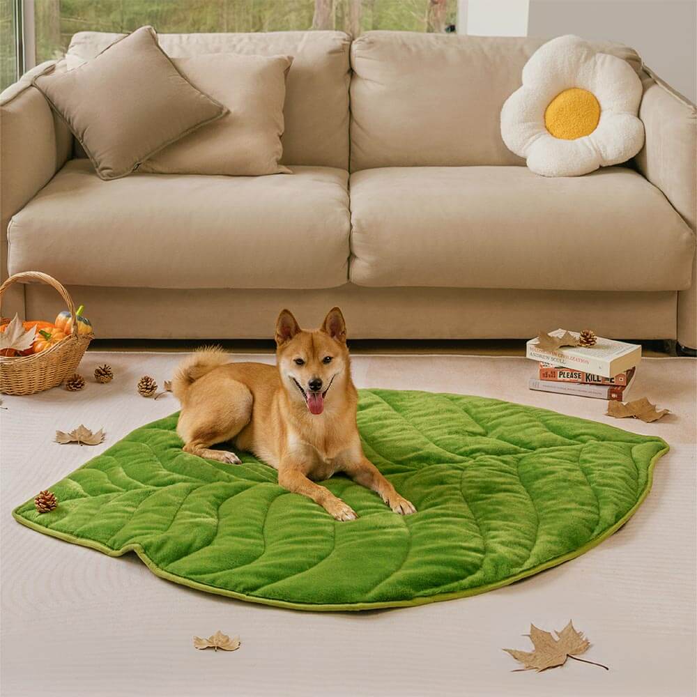 Plush Leaf-Shaped Washable Dog Mat-The Leaf Collector - Image 8