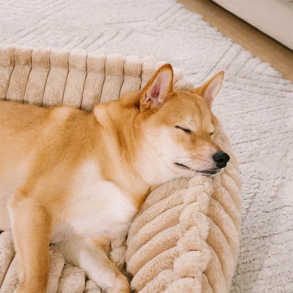 Plush Warmth Removable Orthopedic Wedge Bolster Dog Sofa Bed - CozySlope - Image 3