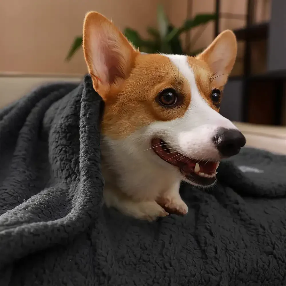 Polar Fleece Comfortable Warm Multifunctional Pet Blanket - Image 4