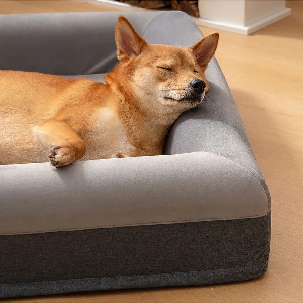 Premium Orthopaedic Dog Bed Blissful Sleep With Joyful Play Digging Bed - Image 5