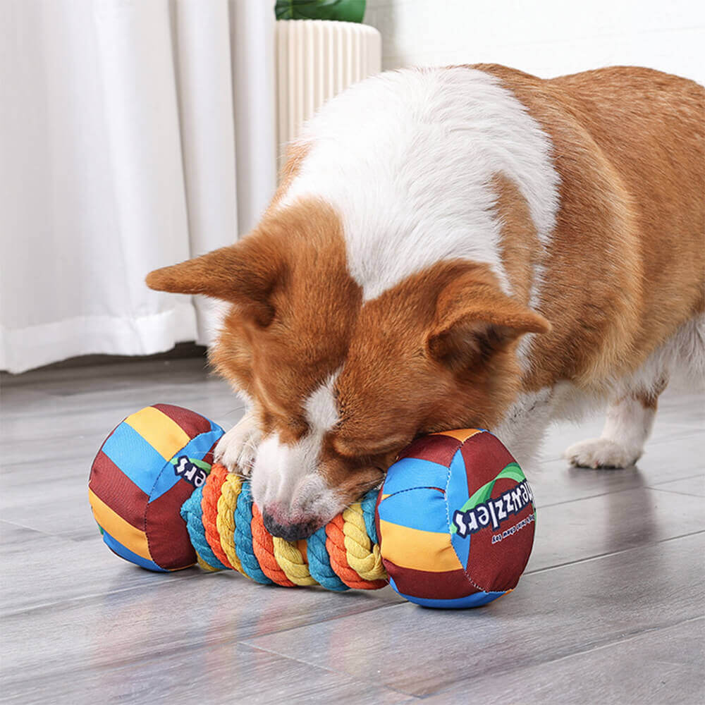 Rainbow Dumbbell Interactive Squeaky Durable Rope Dog Toy - Image 5