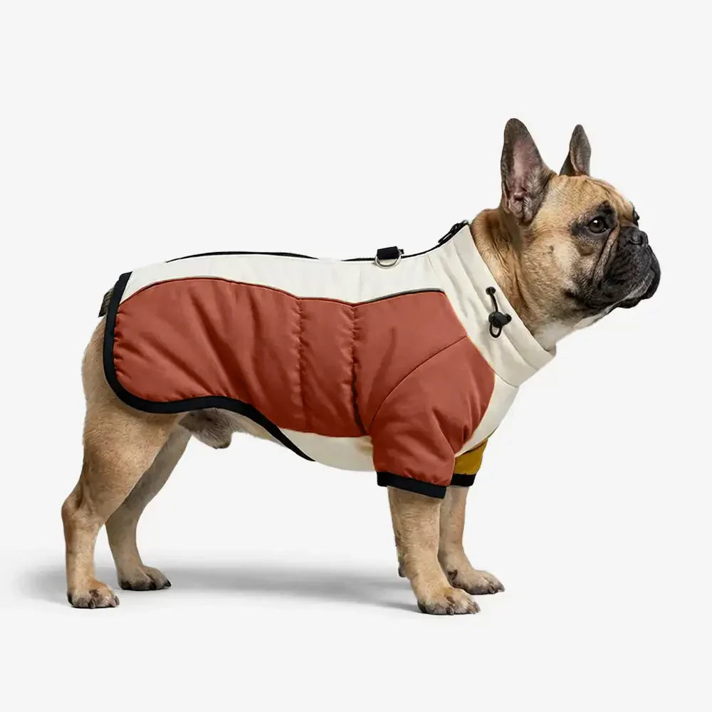 Retro Color-Block Fleece-Lined Warm Dog Coat with Leash Buckle - Image 2