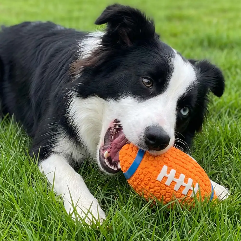 Rugby Dog Chew Toy with Squeaky - Image 3