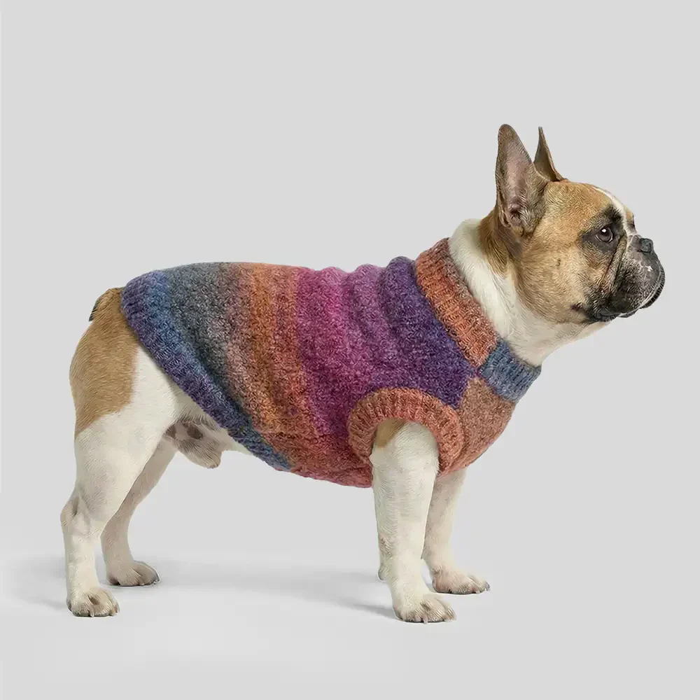 Soft Warm Thick-Knitted Dog Jumper – Designed For Dachshunds, French Bulldogs & Pugs - Image 4