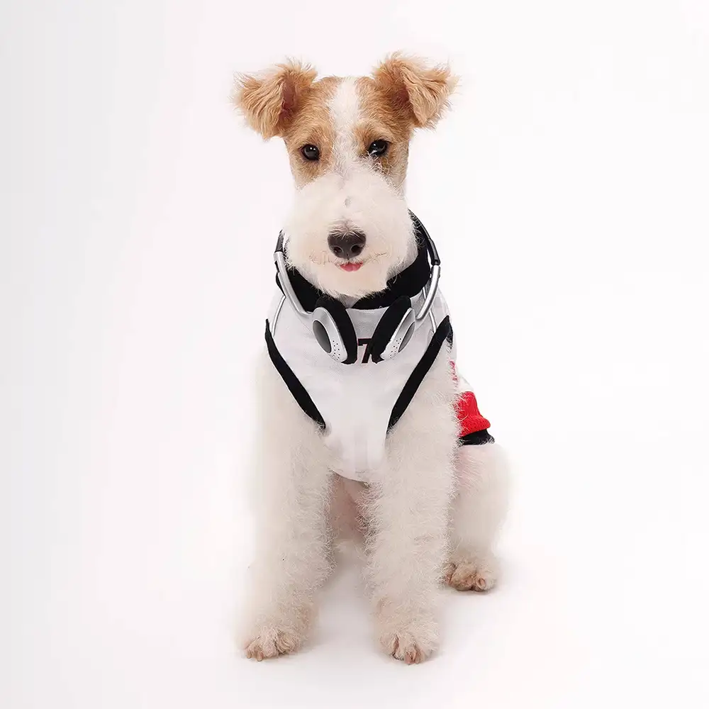 Stylish Color-Blocked Breathable Dog Vest - Image 6