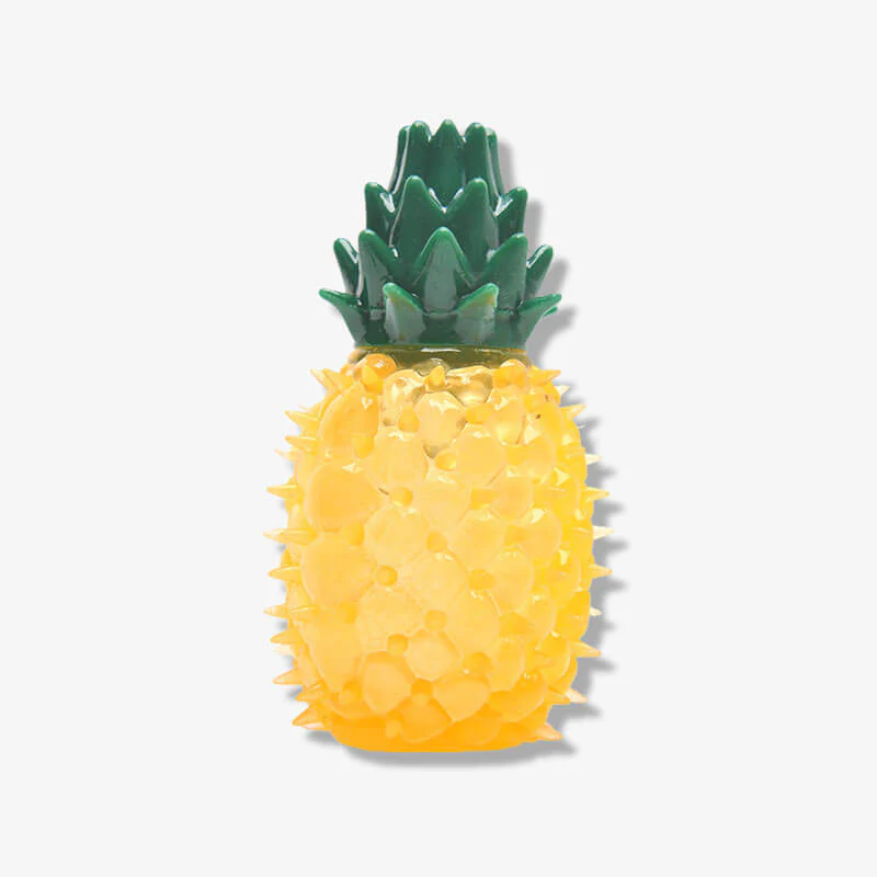 Teething Rubber Water-filled Frozen Fruit Shape Dog Toy - Image 3