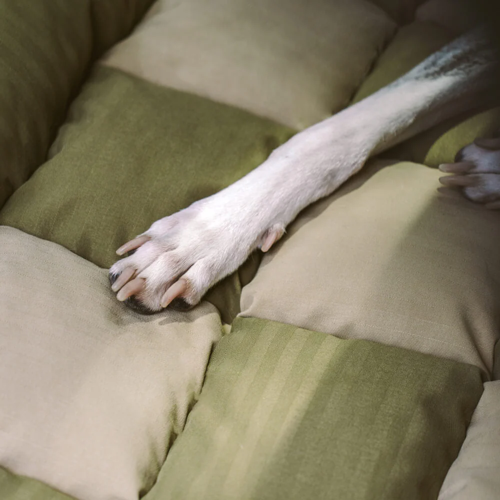 Travel Bolster Safety Back Seat Large Dog Car Seat Bed - Chessboard Lounge - Image 13