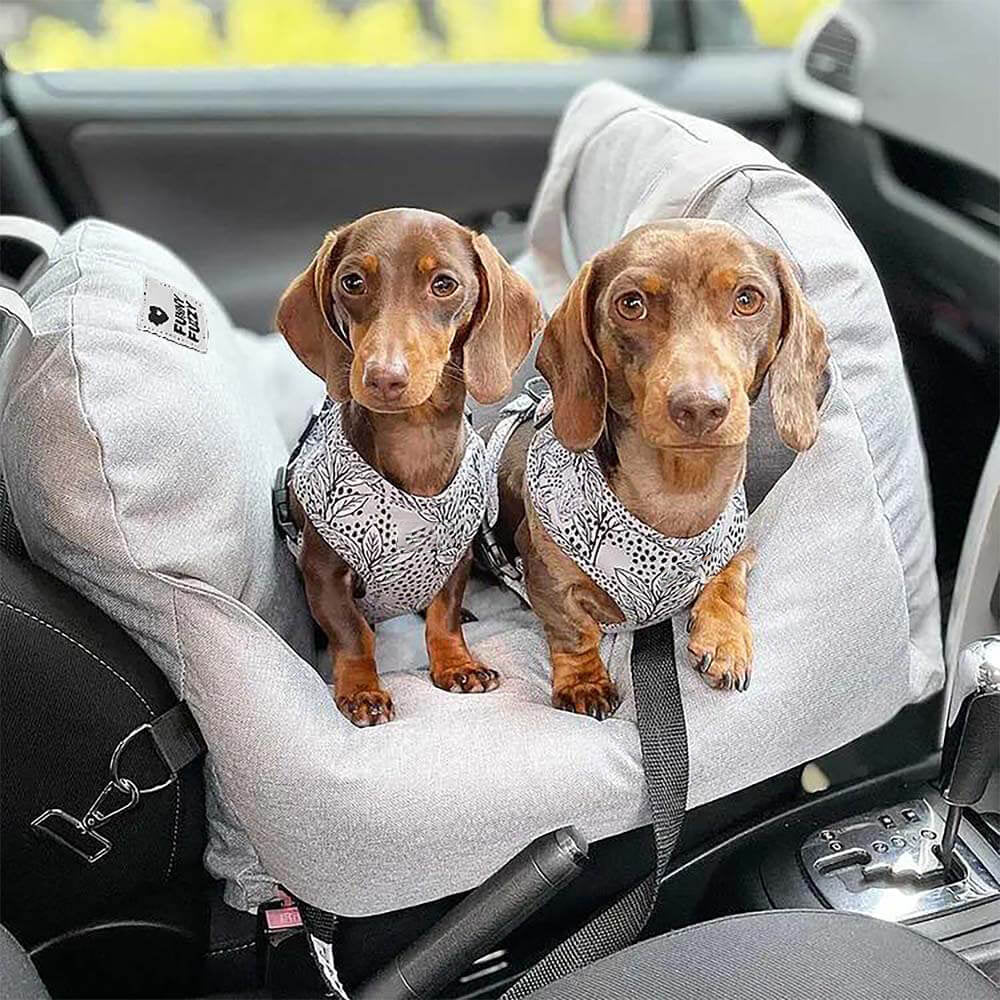 Travel Dog Car Seat Bed - Gym Bag - Image 3