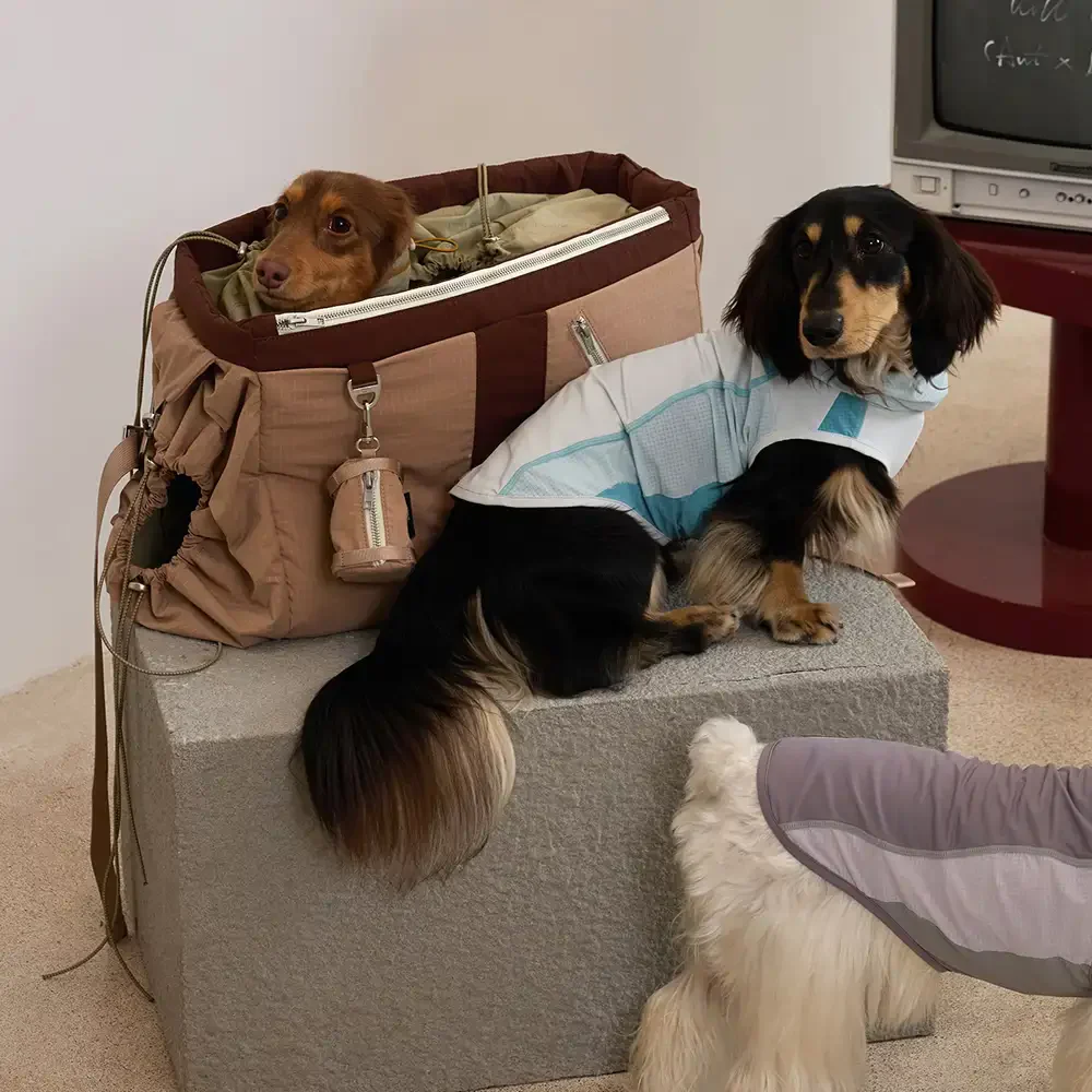 Vintage Breezy Outdoor Waterproof Large-Capacity Travel Pet Carrier Bag - Image 3
