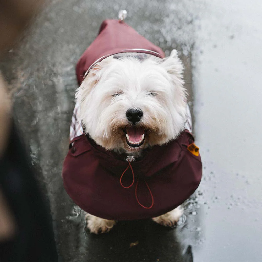 Waterproof Vintage Plaid Adjustable Dog Raincoat - All-Weather Protection - Image 11
