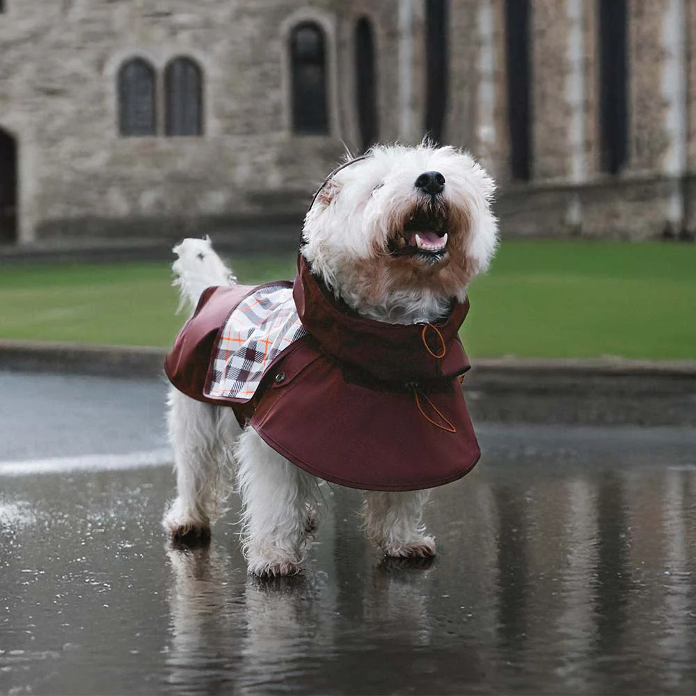 Waterproof Vintage Plaid Adjustable Dog Raincoat - All-Weather Protection - Image 13