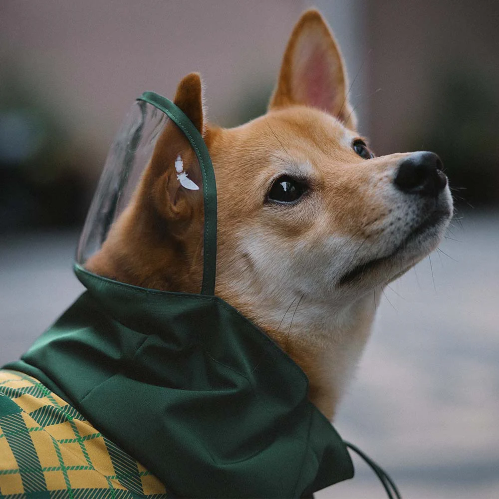 Waterproof Vintage Plaid Adjustable Dog Raincoat - All-Weather Protection - Image 18