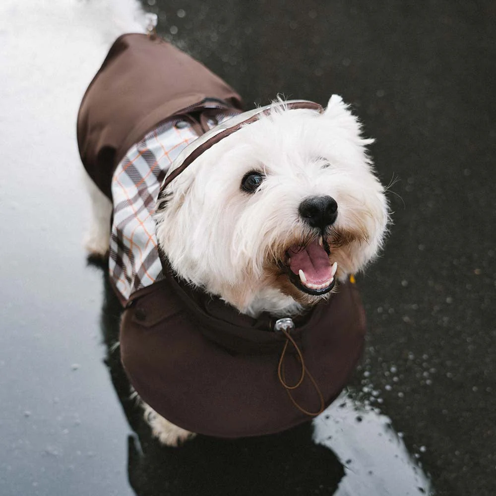 Waterproof Vintage Plaid Adjustable Dog Raincoat - All-Weather Protection - Image 6